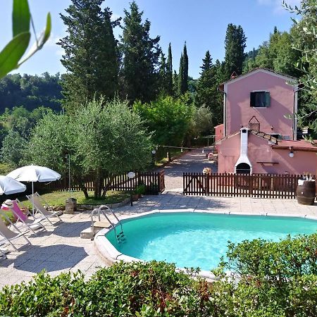 Podere Il Leccione Palaia Εξωτερικό φωτογραφία