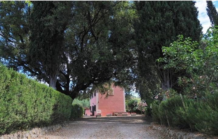 Podere Il Leccione Palaia Εξωτερικό φωτογραφία