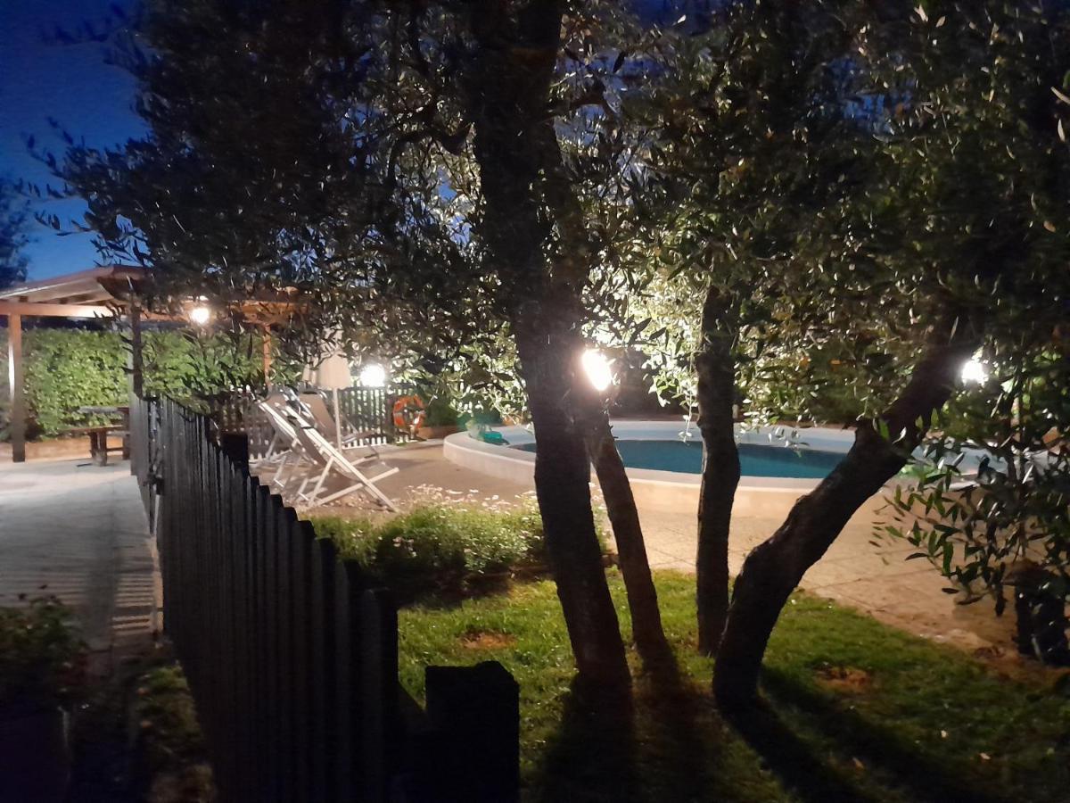 Podere Il Leccione Palaia Εξωτερικό φωτογραφία